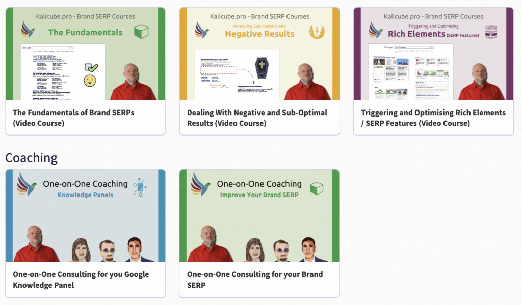 Brand SERP Courses and Consulting