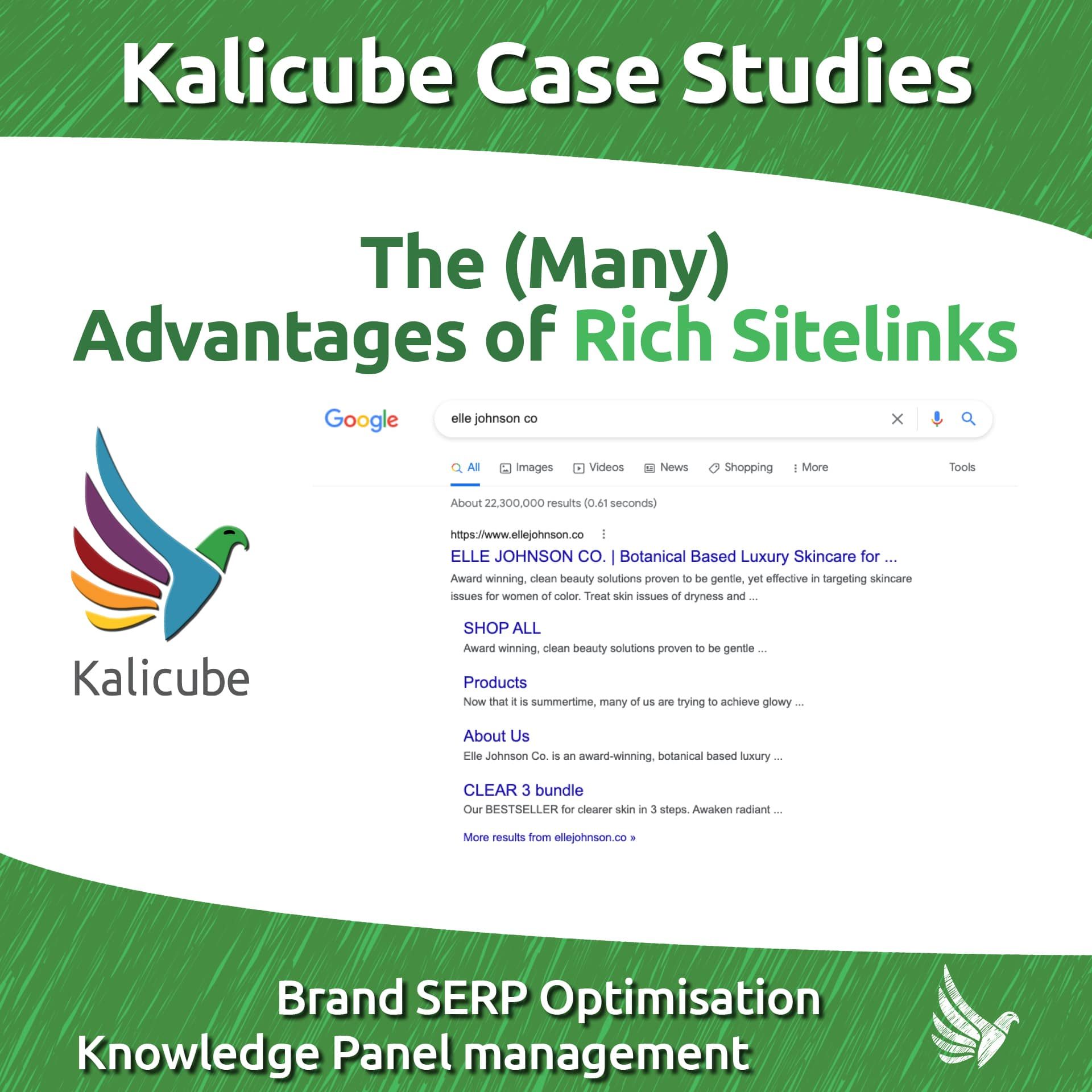 Thumbnail: Kalicube case studies Brand SERP example