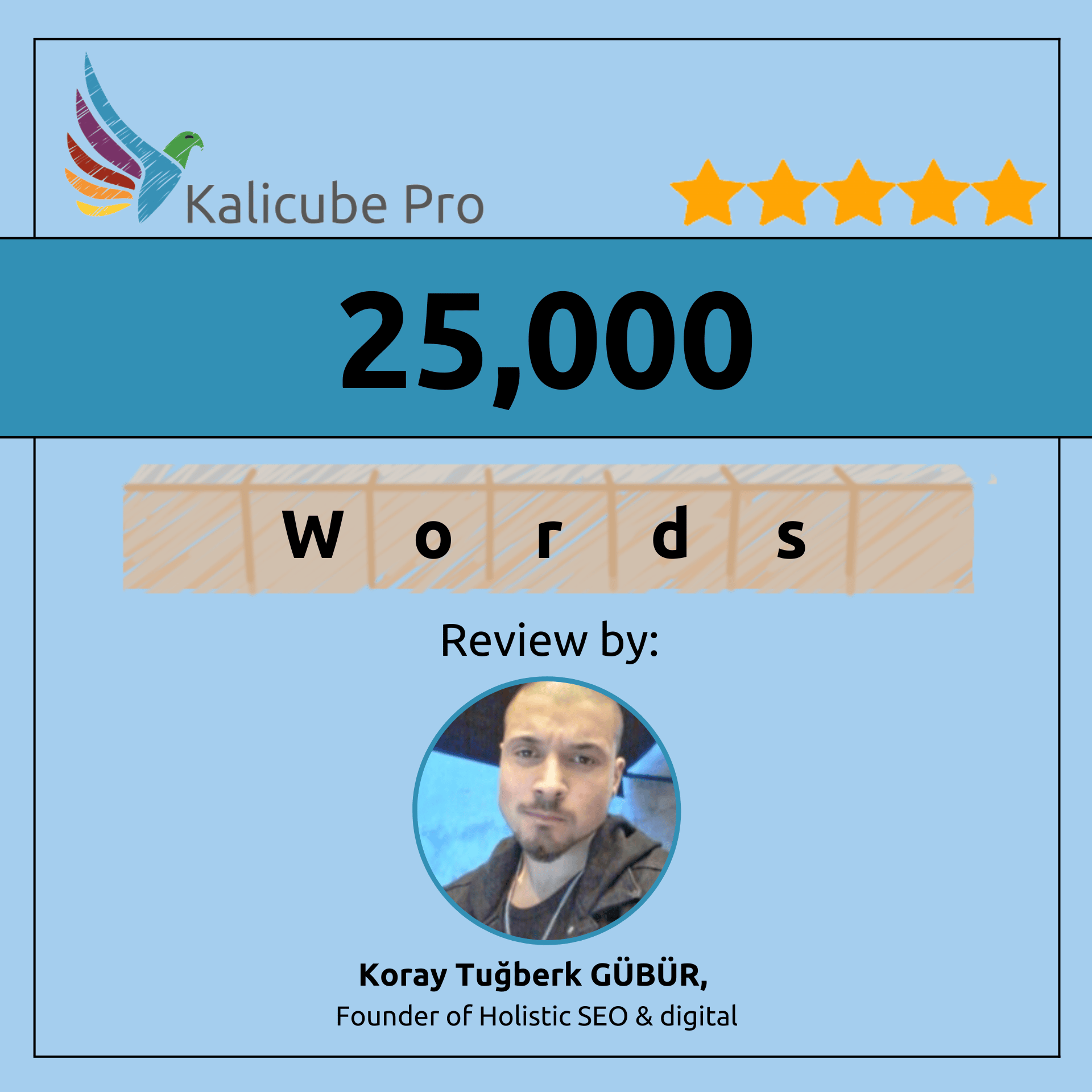 Kalicube Pro - Holistic SEO, Koray Gubur Review