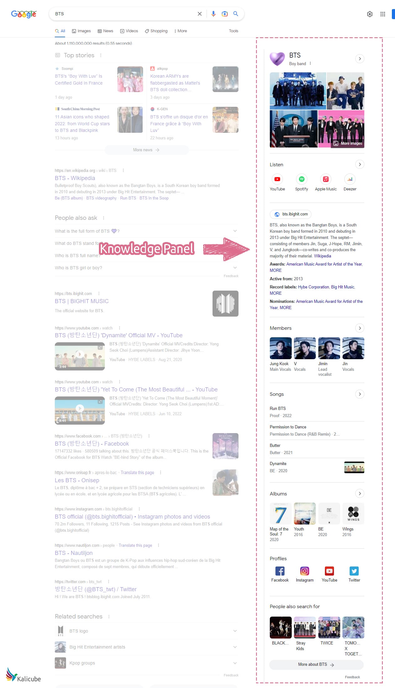 Knowledge Panel for a Music Group