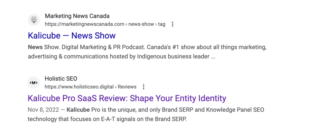 Example of a Brand SERP showing third-party resources