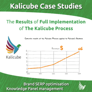 The results of the full implementation of the Kalicube Process show a six-fold increase in revenues.