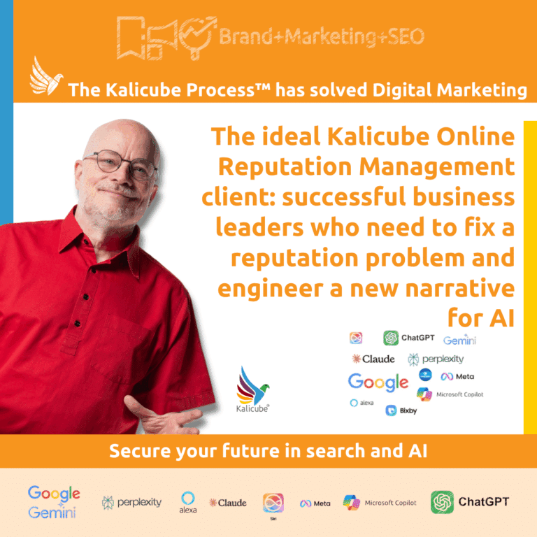 Featured image for the article "The Ideal Kalicube Online Reputation Mangement client"