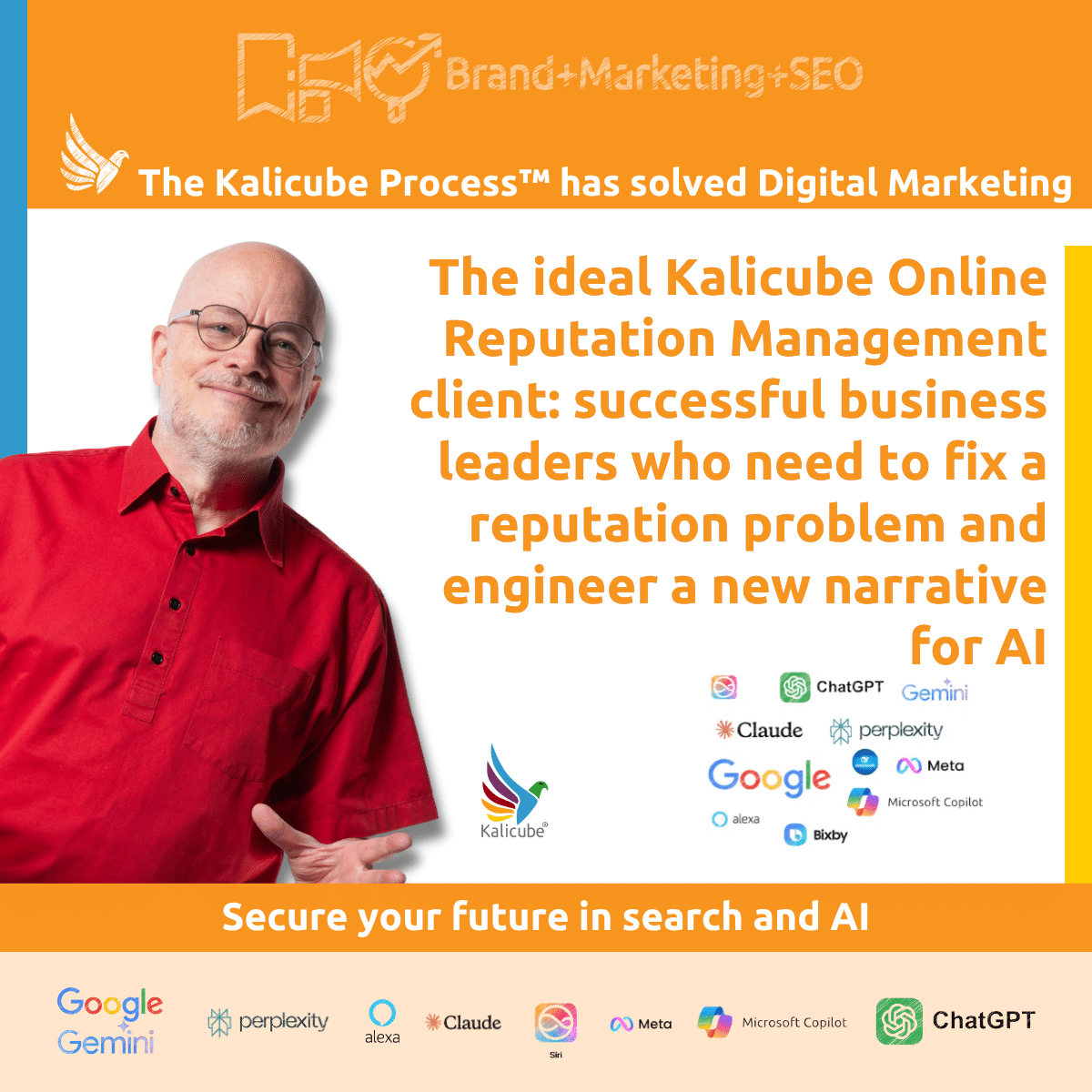 Featured image for the article "The Ideal Kalicube Online Reputation Mangement client"