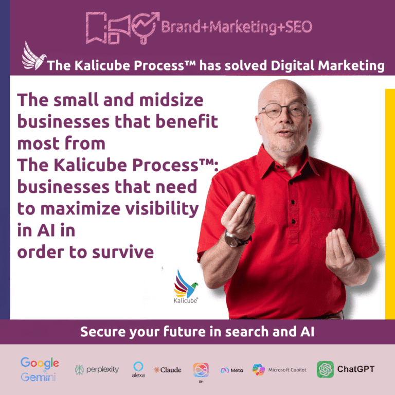 Featured image for "The Small and Midsize Businesses that Benefit most from The Kalicube Process" article